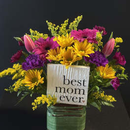Best Mom Ever!