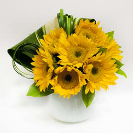 Sunny Sunflower