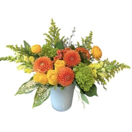 Sunny Summer