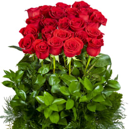A bouquet of red roses with dense green foliage