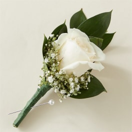 White rose boutonniere with baby's breath and dark green leaves