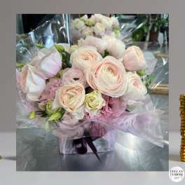 AMELIA