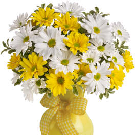 Bouquet of white and yellow daisies in a yellow vase with a gingham ribbon