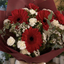Bouquet of red gerbera daisies and white carnations wrapped in burgundy paper