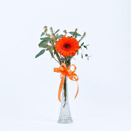 Orange gerbera daisy in a clear glass vase with an orange ribbon