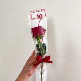 Single red rose in clear wrap with a Valentine card and red ribbon