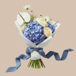Blue Arrival & Wrapped