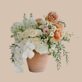 Peaches & Cream