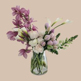 Porcelain & Parchment