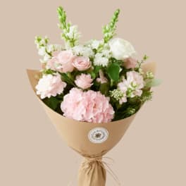 Pink Arrival & Wrapped