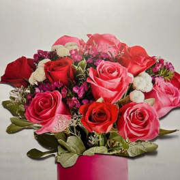 Bouquet of red and pink roses in a pink cylindrical box