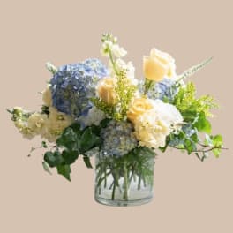 Hydrangea & Honey