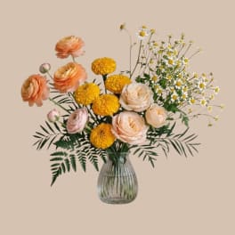 Honey & Chamomile Standard