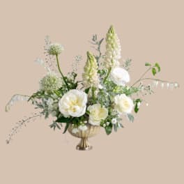 White & Whimsical