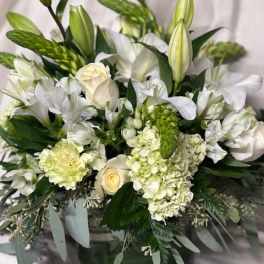 Green Delight