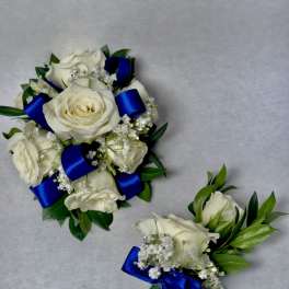 Party Blue set