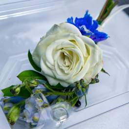 White rose boutonniere with blue accent flowers in a clear plastic case