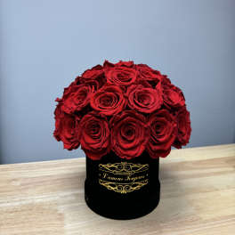Black Velvet Everlasting Box