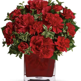 Red carnations arranged in a square glass vase