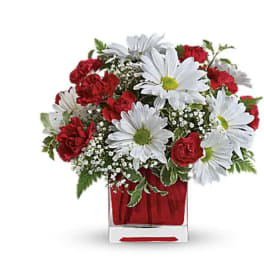 Red carnations and white daisies in a square glass vase