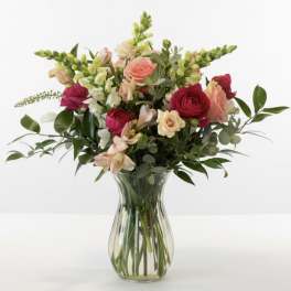 Stella