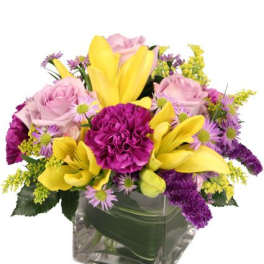 HIGH IMPACT Arrangement
