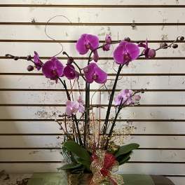 Pink orchid arrangement in a gold square vase with a decorative bow