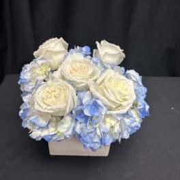 White roses and blue hydrangeas in a square box