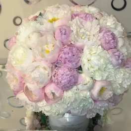 Grand Peony Signature Box