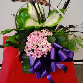 Basket arrangement with pink flowers, green-and-white leaves, and a butterfly topper