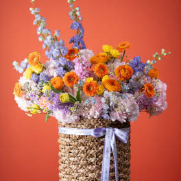 Sunset Garden Symphony