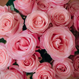 Close-up of pink roses tightly clustered together.