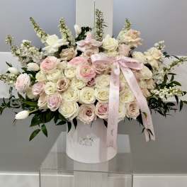 Blush Couture- XL Box