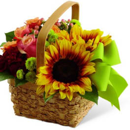 Basket of sunflowers and roses with a bright green bow