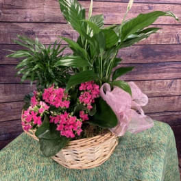 European Basket Garden