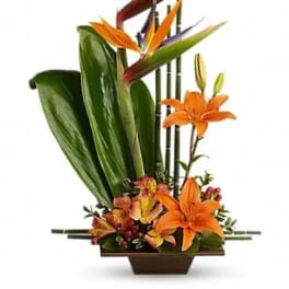Tropical flower arrangement with orange bird-of-paradise and lilies in a rectangular vase