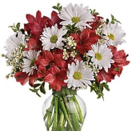 Dancing in Daisies
