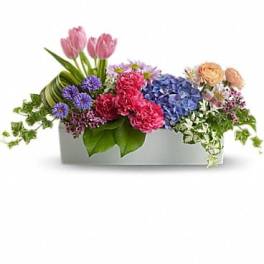 Mixed bouquet in a rectangular white box with pink tulips and blue hydrangeas