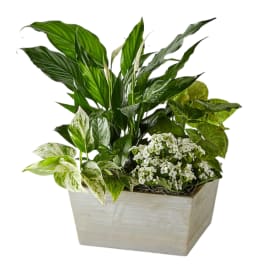 Peace In Harmony Basket