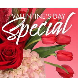 Red roses, pink hydrangeas, and red tulips on a pink background with Valentine's Day text