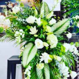 Tall white floral arrangement with large tropical leaves