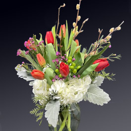 Bouquet of red tulips and white hydrangeas in a glass vase