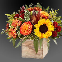 Mixed bouquet with sunflowers, orange roses, and red mums in a wooden box