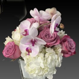 Pink roses and white orchids in a square glass vase with white hydrangeas