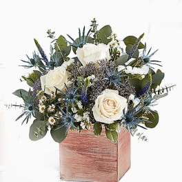 White roses and blue thistle in a pink wooden box