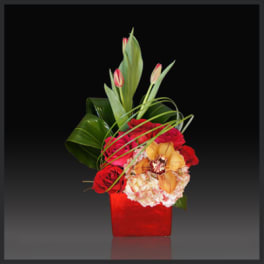 Red and orange floral arrangement in a red square vase