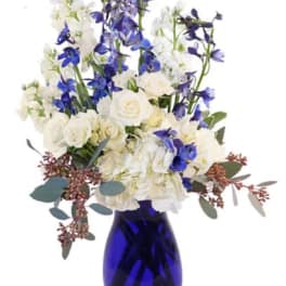 White and blue flowers arranged in a cobalt vase