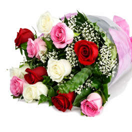 beauty in bloom colored