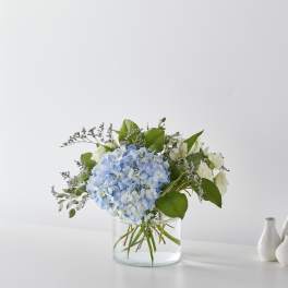 Coastal Blossom