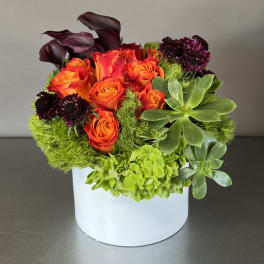 Orange roses and green succulents arranged in a white box